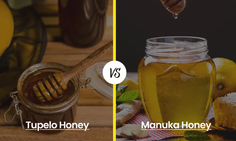 Tupelo Honey Vs Manuka Honey: Which Is Better?