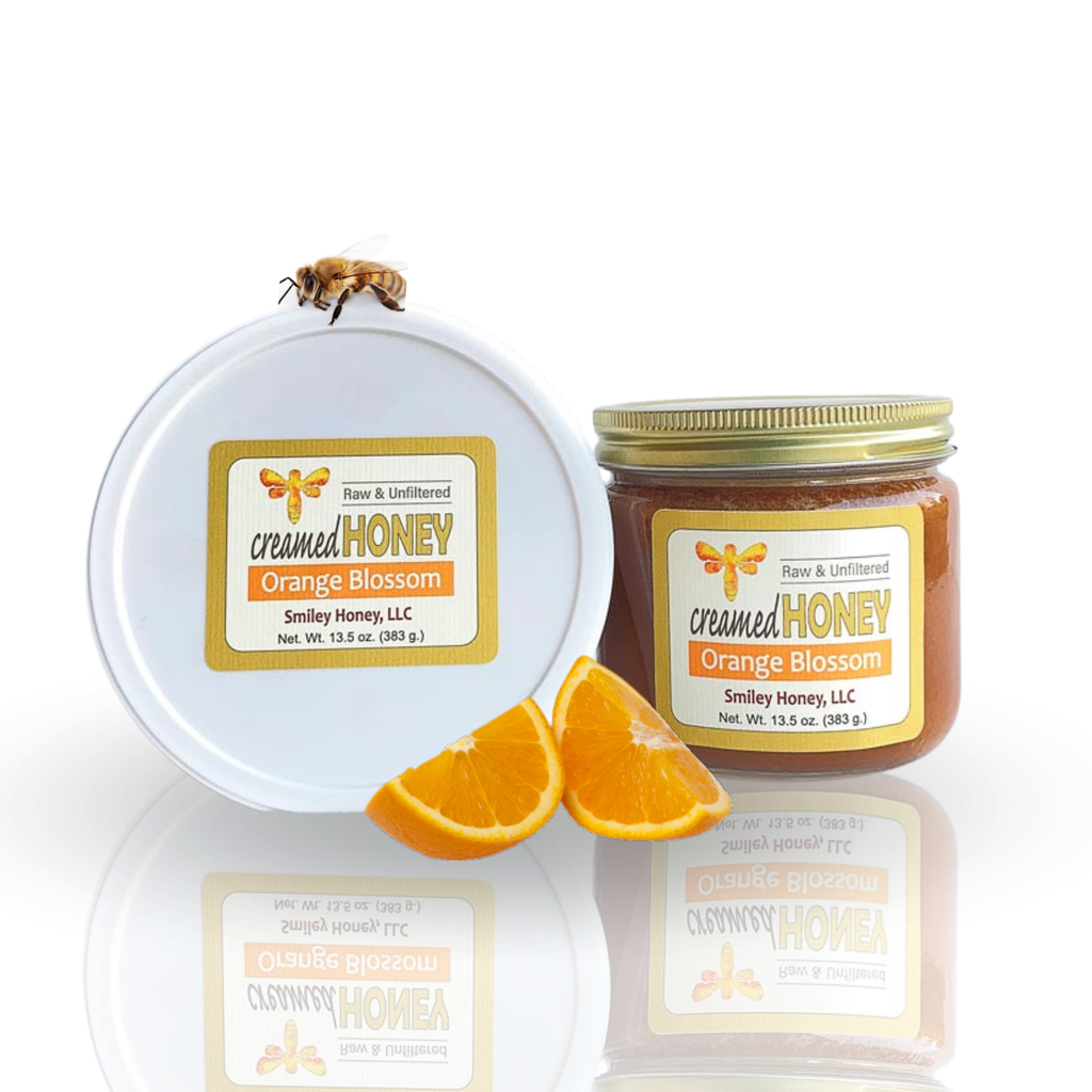 Buy Creamed Orange Blossom Honey Online - Cold-Packed & Raw