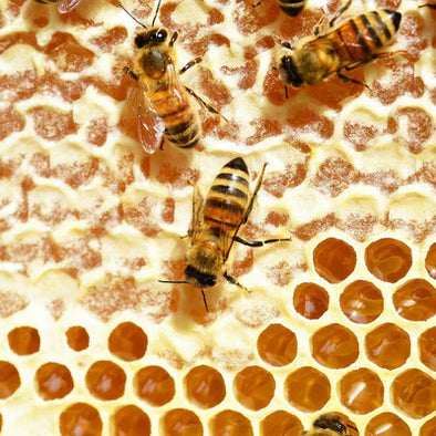 Is Raw Honey Good For You?