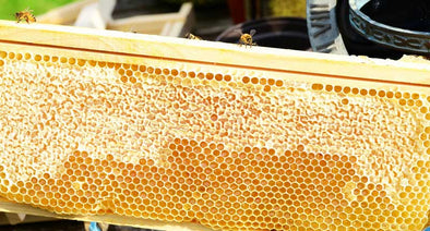 5 Reasons Why Raw Honey is Better Than White Sugar
