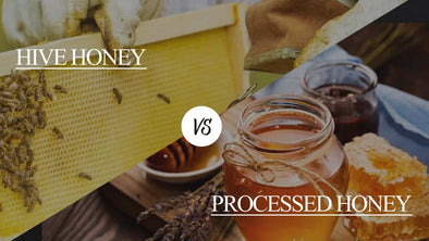 A split image comparing hive honey and processed honey. The left side shows a honeycomb with bees and raw honey, labeled "HIVE HONEY." The right side displays jars of processed honey with honeycomb pieces, labeled "PROCESSED HONEY." A "vs" symbol separate