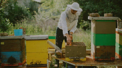 A beekeeper, wearing a white protective suit and a veiled hat, is tending to a beehive in a lush, green outdoor setting.