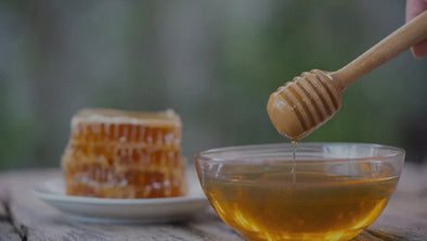 A close-up of a honey dipper dripping golden honey into a clear glass bowl, with a piece of honeycomb on a small white plate in the background.