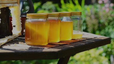 Jars of golden honey and a honeycomb on a rustic wooden table in a sunny garden.