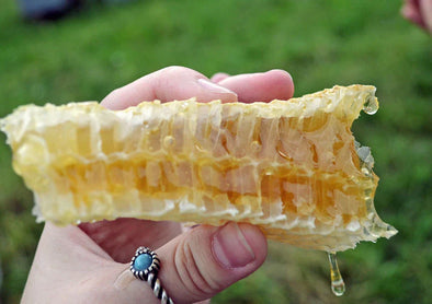 A hand holding a piece of honeycomb with honey dripping, set against a grassy background. The hand has a ring with a blue stone.